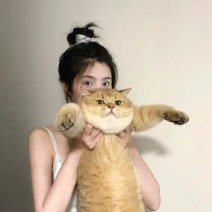 小红书假评价怎么举报成功，投诉别人视频号怎么撤诉