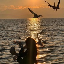 小红书被举报还能登上去么，怎么举报抖音能封号