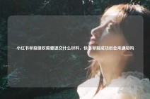 小红书举报侵权需要提交什么材料，快手举报成功后会来通知吗