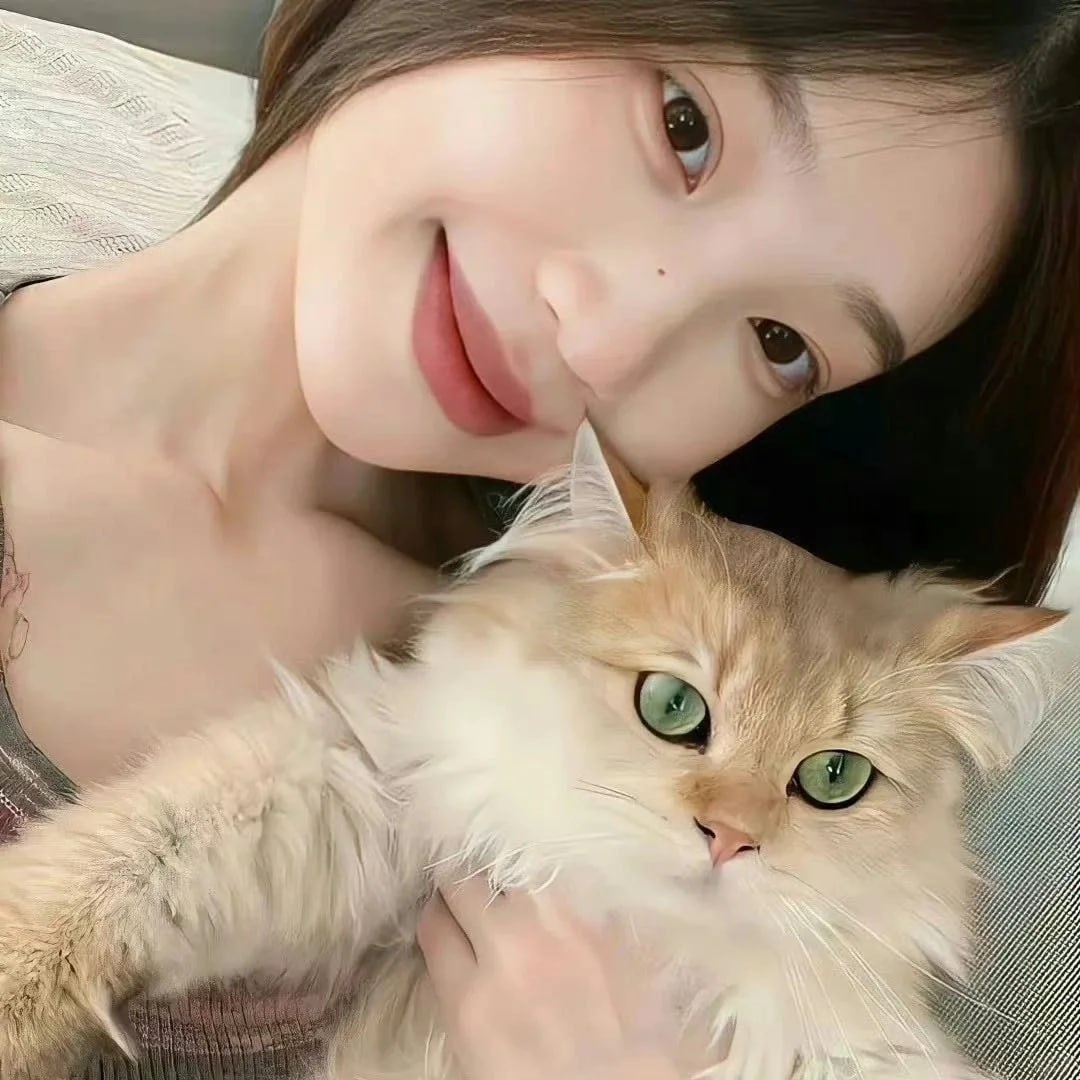 帮举报视频号，视频号投诉侵权怎么办