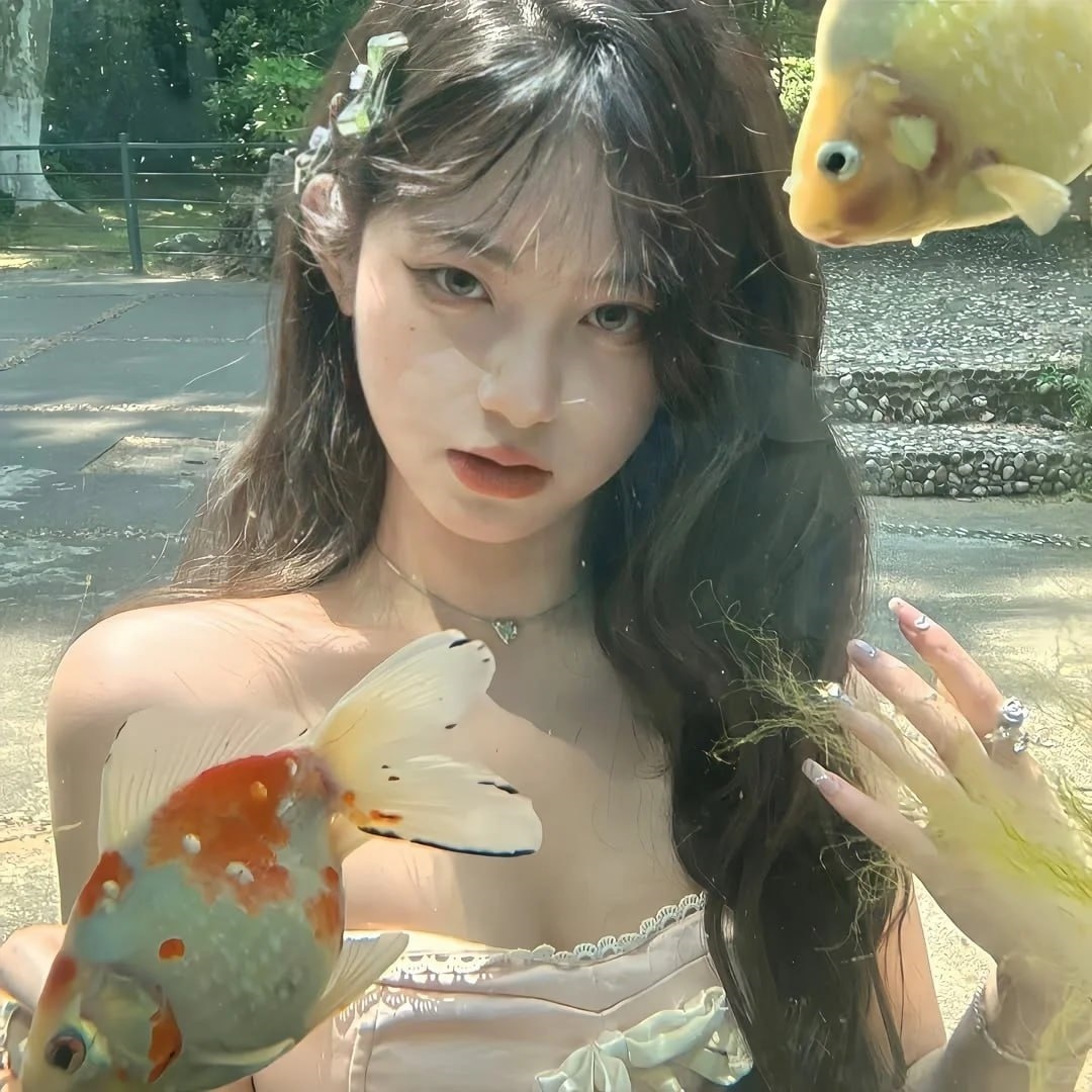 抖音代举报服务，快手投诉主播怎样投诉