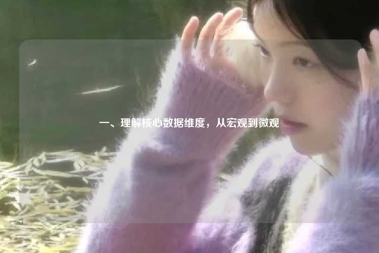 一、理解核心数据维度,从宏观到微观