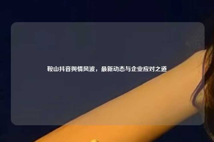 鞍山抖音舆情风波,最新动态与企业应对之道