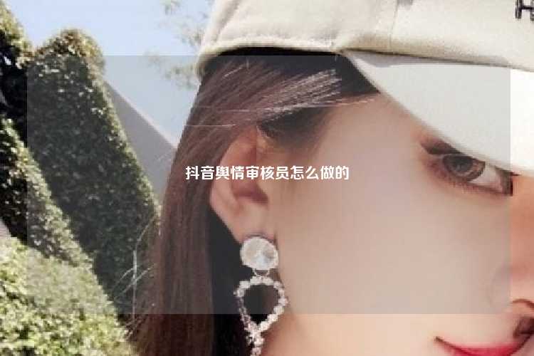 抖音舆情审核员怎么做的