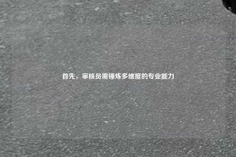 首先,审核员需锤炼多维度的专业能力