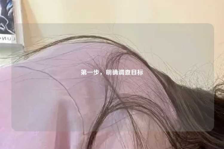 第一步，明确调查目标