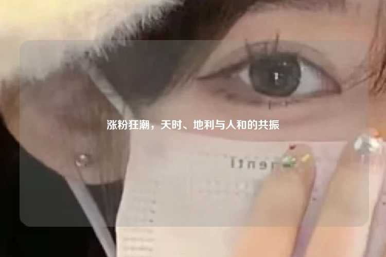 涨粉狂潮，天时、地利与人和的共振