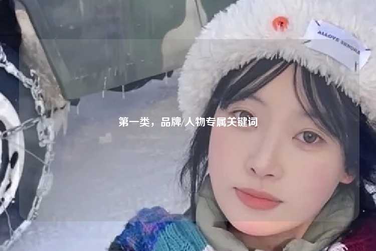 第一类,品牌/人物专属关键词