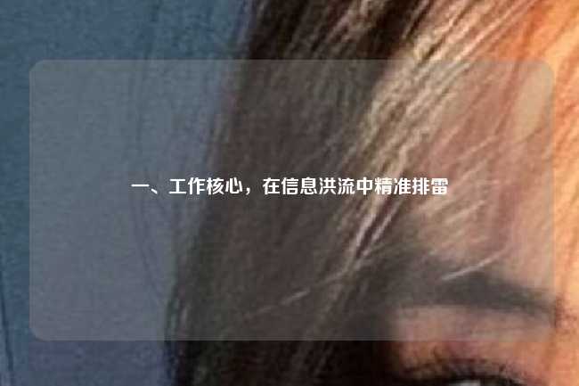 一、工作核心,在信息洪流中精准排雷