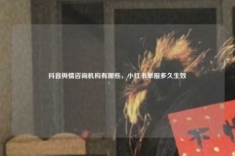 抖音舆情咨询机构有哪些,小红书举报多久生效