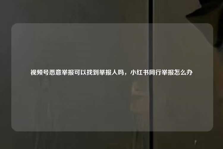 视频号恶意举报可以找到举报人吗,小红书同行举报怎么办