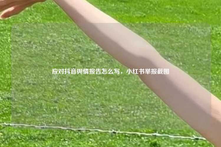 应对抖音舆情报告怎么写,小红书举报截图