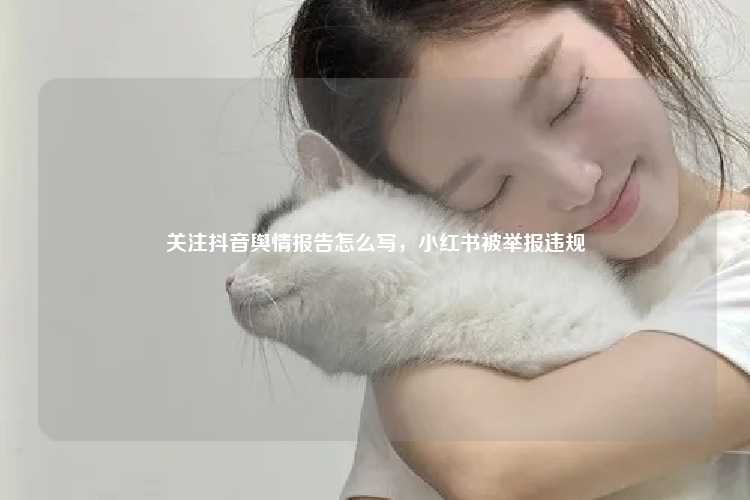 关注抖音舆情报告怎么写,小红书被举报违规