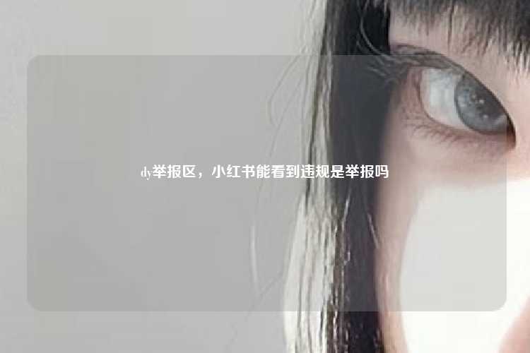 dy举报区,小红书能看到违规是举报吗