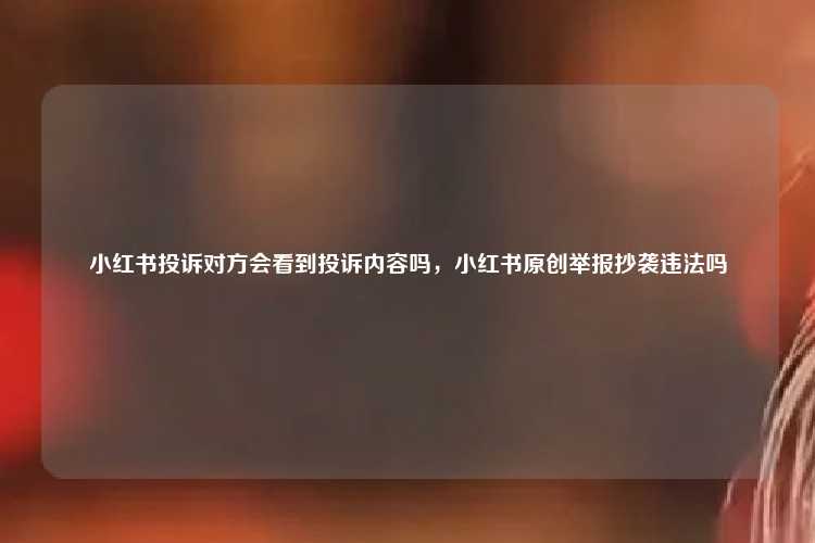 小红书投诉对方会看到投诉内容吗,小红书原创举报抄袭违法吗