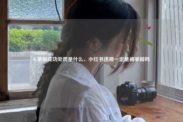 dy举报成功处罚是什么,小红书违规一定是被举报吗