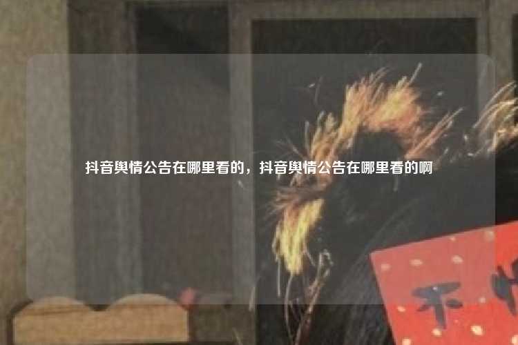 抖音舆情公告在哪里看的,抖音舆情公告在哪里看的啊