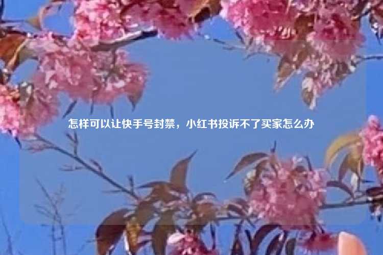怎样可以让快手号封禁,小红书投诉不了买家怎么办