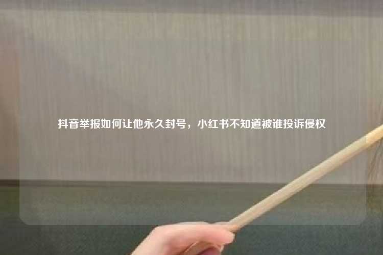抖音举报如何让他永久封号,小红书不知道被谁投诉侵权