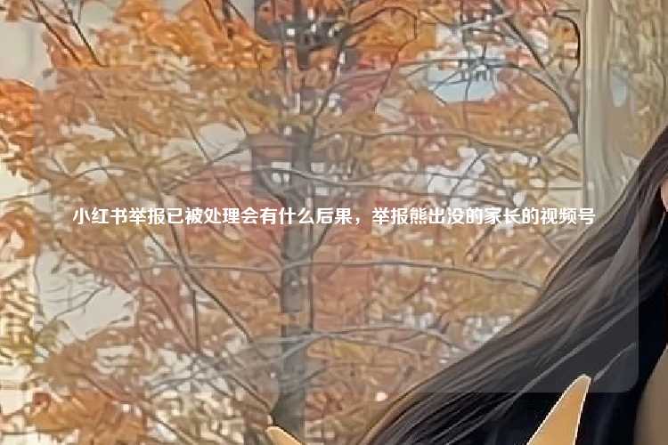 小红书举报已被处理会有什么后果,举报熊出没的家长的视频号