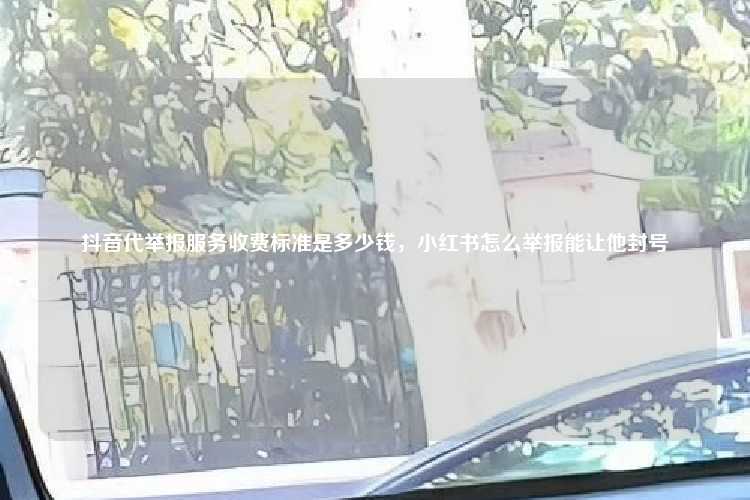 抖音代举报服务收费标准是多少钱,小红书怎么举报能让他封号